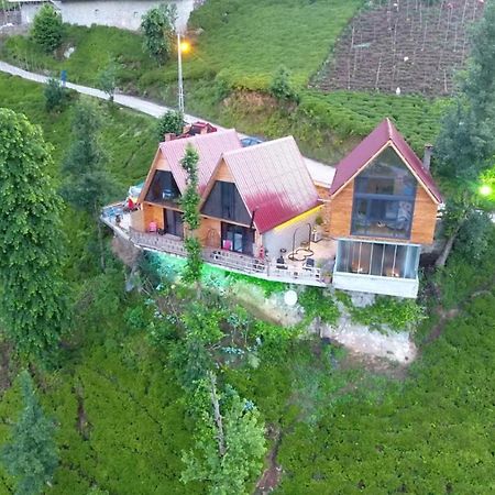 Ekakta Bungalov Çamlıhemşin エクステリア 写真