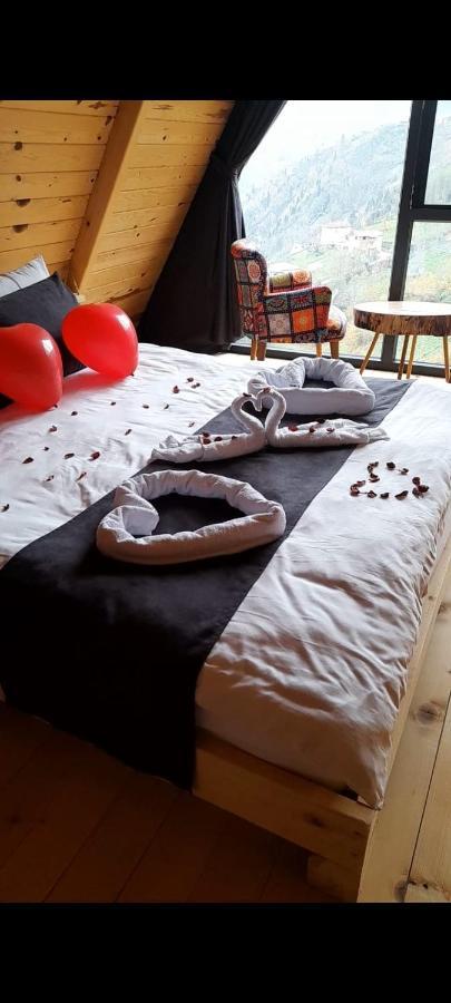 Ekakta Bungalov Çamlıhemşin エクステリア 写真